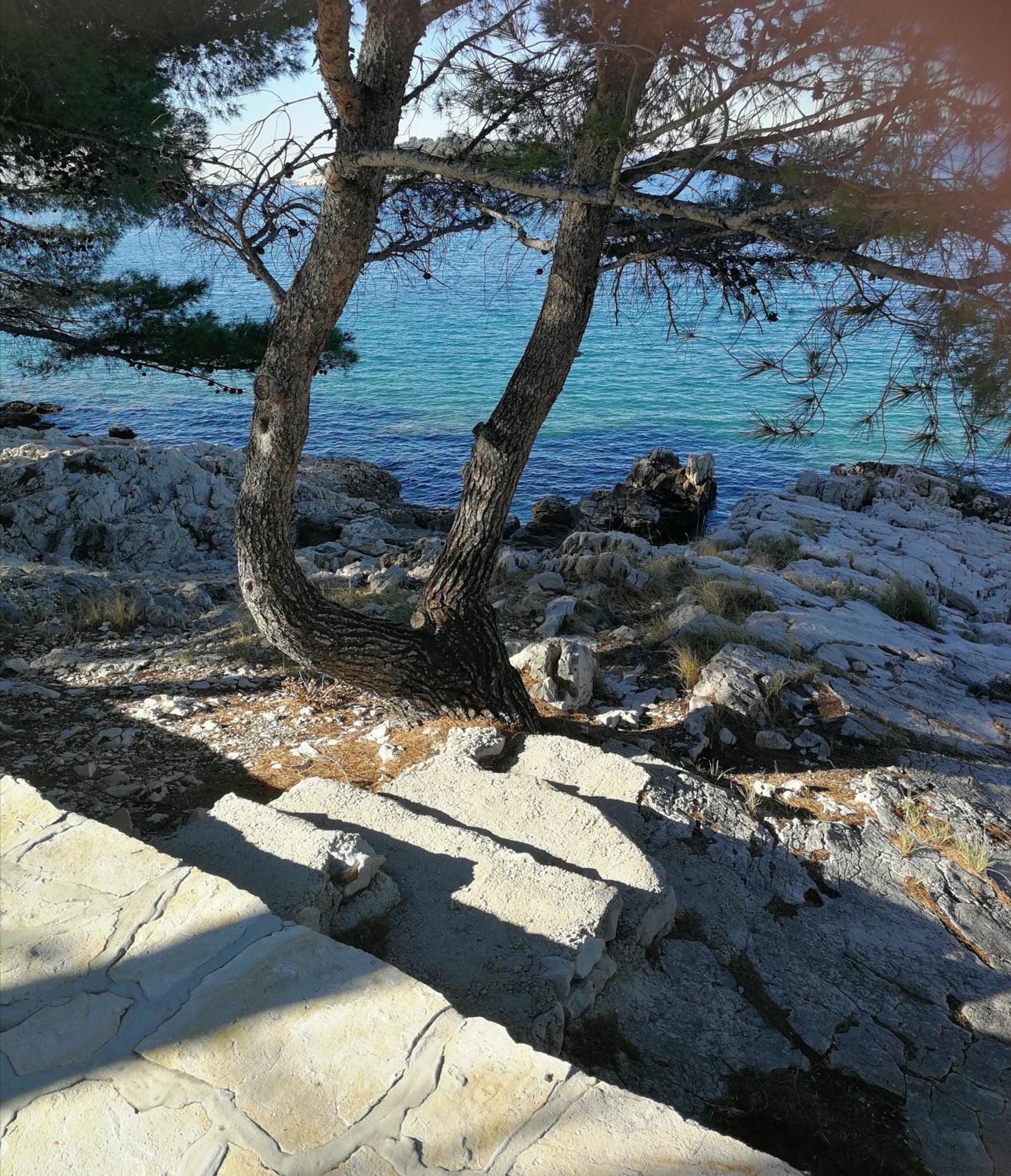 Villa House Kod Dide Primošten Exterior foto